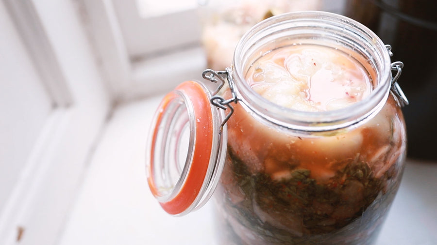 kimchi style kraut